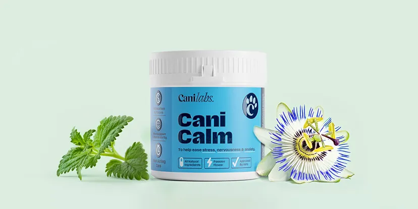 Cani Calm tub beside fresh lemon balm leaves and a passion flower