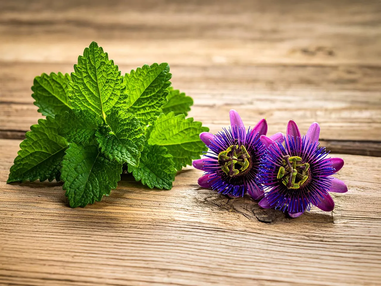 Fresh lemon balm leaves beside two purple passion flowers on a wooden surface